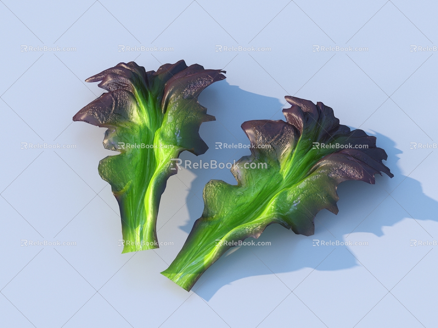 Cartoon Vegetable Leaf Food 3d model