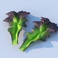 Cartoon Vegetable Leaf Food 3d model