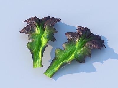 Cartoon Vegetable Leaf Food 3d model