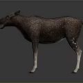 Realistic Standing Moose With Brown Body And White Legs On Grey Background