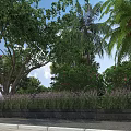 Municipal Road Green Landscape Design With Lush Trees Shrubs And Ornamental Plants