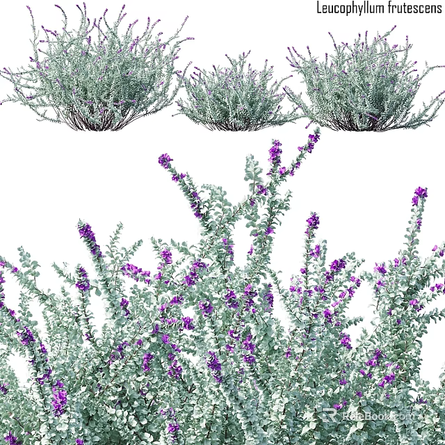Decorative Ornament Set with Purple Flowers and Green Leaves for Home Decor 3d model 
