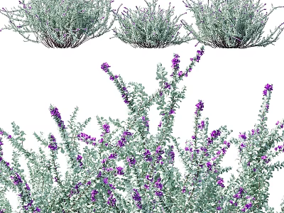 Decorative Ornament Set with Purple Flowers and Green Leaves for Home Decor 3d model