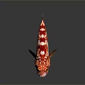 Vibrant Red And White Striped Aquatic Animal Displaying Detailed Fins And Bright Eyes