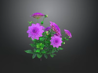 Vibrant Purple Flowers with Fresh Green Leaves and Blooming Petals in Bouquet 3d model