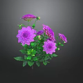 Vibrant Purple Flowers with Fresh Green Leaves and Blooming Petals in Bouquet