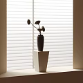 Minimalist Vase with Lotus Flowers on White Cube Base Against Window Blinds with Light