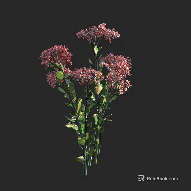 Beautiful Pink Flowers with Green Leaves and Stems Against Black Background 3d model 