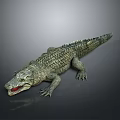 Realistic Crocodile 3D Model With Open Mouth Sharp Teeth Scaly Body Dark Background And Reflection 3d model