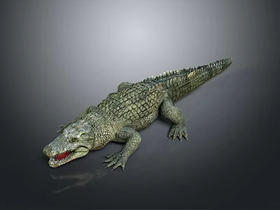 Realistic Crocodile 3D Model With Open Mouth Sharp Teeth Scaly Body Dark Background And Reflection 3d model