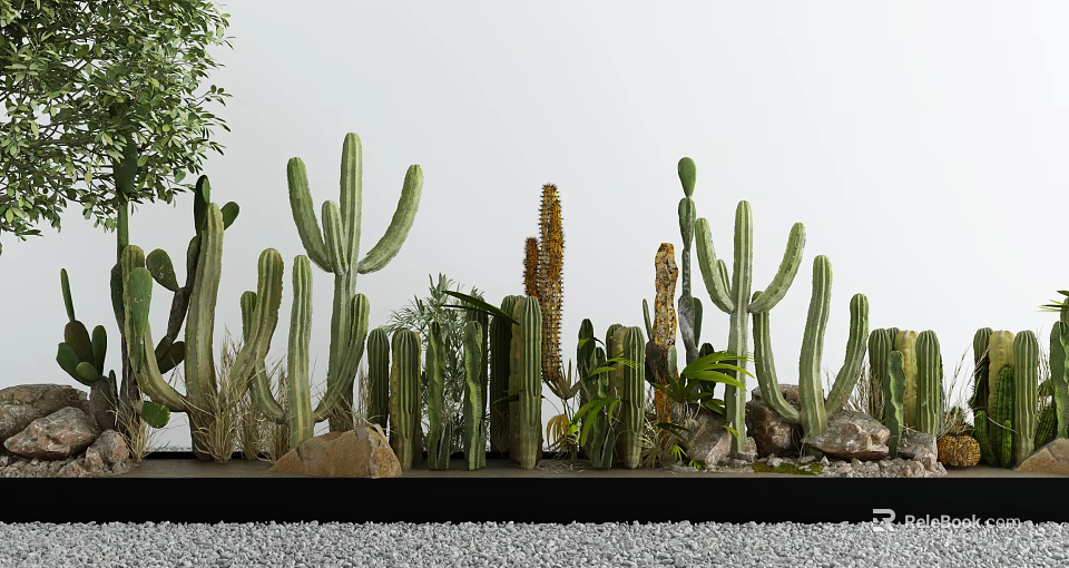 Various Types of Cactus Bonsai Potted Plants with Stones and Gravel Arrangement 3d model 