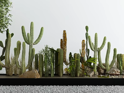 Various Types of Cactus Bonsai Potted Plants with Stones and Gravel Arrangement 3d model