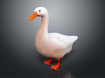 White Duck With Orange Beak And Feet Standing On Dark Reflective Surface 3d model