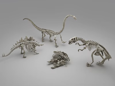 Modern Skeleton Dinosaur Skeleton 3d model Modern Skeleton Dinosaur Skeleton 3d model