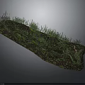 Natural Grassland Scene With Green Plants Soil And Small Flowers On Black Background