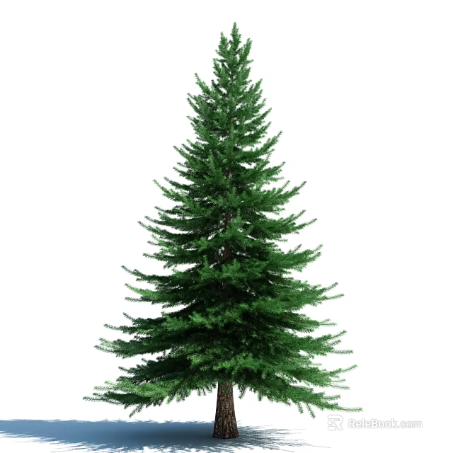 Tall Green Evergreen Tree With Lush Foliage Dense Branches And Straight Trunk 3d model 