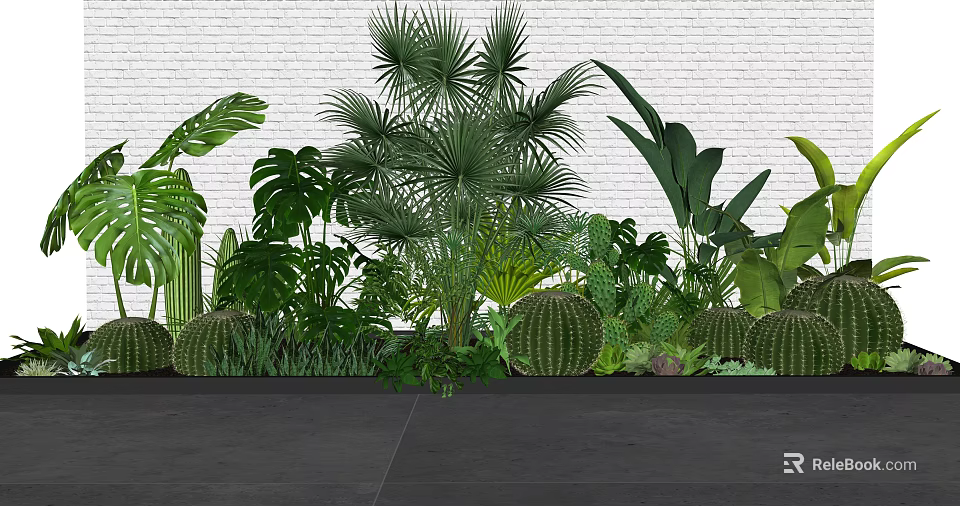 Lush Tropical Plant Combination with Cacti and Large Leaves Against White Brick Wall 3d model 