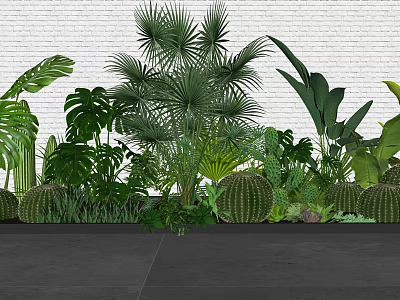 Lush Tropical Plant Combination with Cacti and Large Leaves Against White Brick Wall 3d model