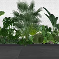 Lush Tropical Plant Combination with Cacti and Large Leaves Against White Brick Wall