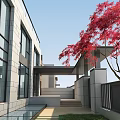 Modern House Entrance Gate With Black Metal Design Glass Curtain Wall And Red Trees