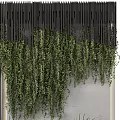 Green Plant Wall With Hanging Vines And Black Slatted Panels On Concrete Background
