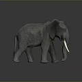 Gray Elephant Model With Ivory Tusks And Skin Texture On Dark Background
