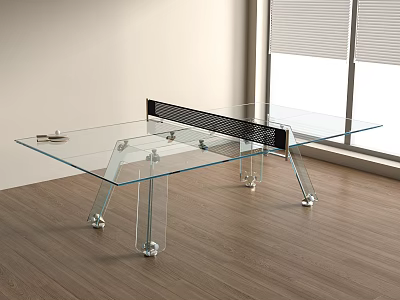 Ball Equipment Table Tennis Transparent Acrylic Table Tennis 3d model