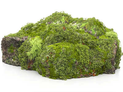 Rockery Stones Covered With Lush Green Moss And Small Plants 3d model