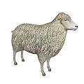 Modern sheep 3d model