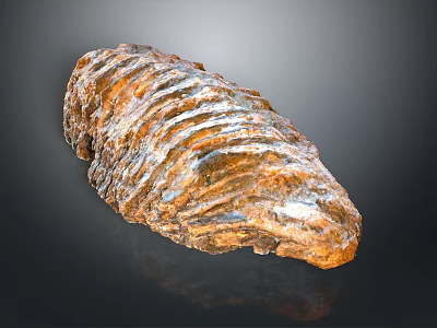 Plant Fossil with Striated Surface Brown and White Coloration Elongated Shape on Dark Background 3d model