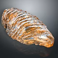Plant Fossil with Striated Surface Brown and White Coloration Elongated Shape on Dark Background