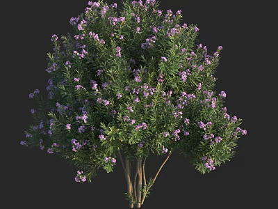 Lush Shrub With Green Leaves And Purple Flowers In Full Bloom 3d model
