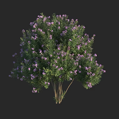 Lush Shrub With Green Leaves And Purple Flowers In Full Bloom 3d model
