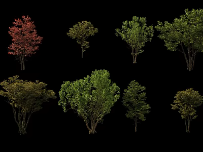 Various Arbor Trees With Green Red Foliage And Diverse Shapes For Landscaping 3d model