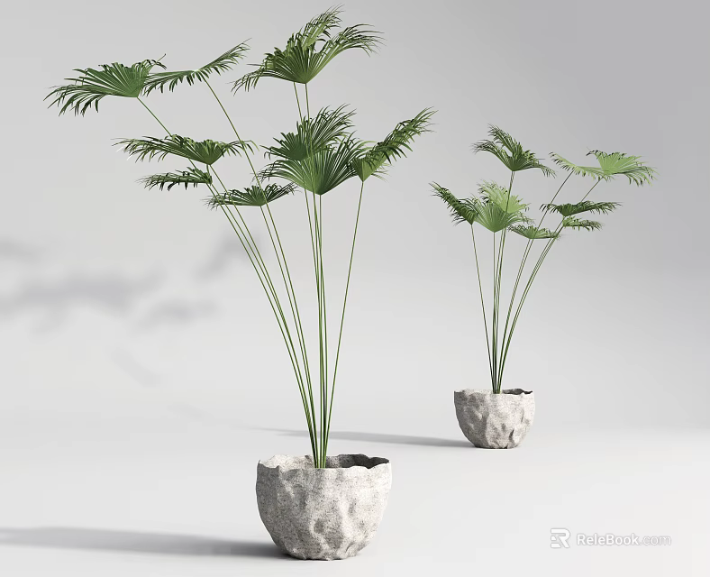 Bonsai Potted Plants with Lush Green Palm Leaves in Natural Stone Pots for Indoor Decor 3d model 