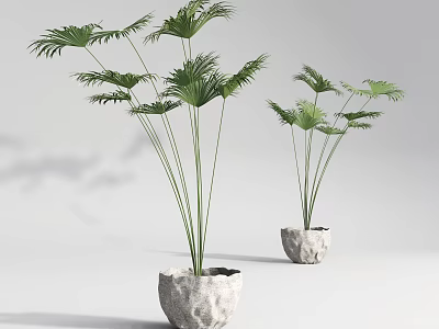Bonsai Potted Plants with Lush Green Palm Leaves in Natural Stone Pots for Indoor Decor 3d model