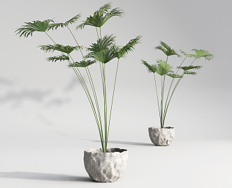 Modern potted green plant potted plant combination 3d model