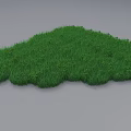 Lush Green Grass Patch With Dense Fresh Greenery And Natural Texture 3d model