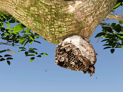 Busy Flying Bees Around Honeycomb Nest On Tree Trunk With Green Leaves And Blue Sky 3d model