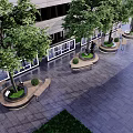 Circular Tree Planters With Green Trees And Surrounding Benches In Urban Square