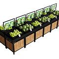 Fresh Fruit Displayed on Store Shelves Featuring Watermelons Green Apples and Price Tags