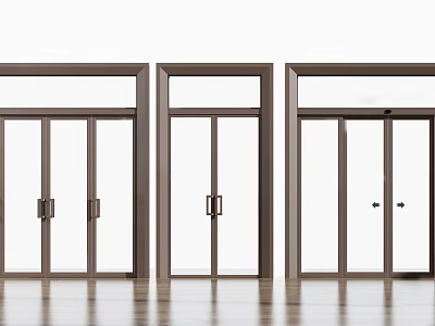 Modern Glass Double Doors With Brown Frames And Wooden Floor 3d model