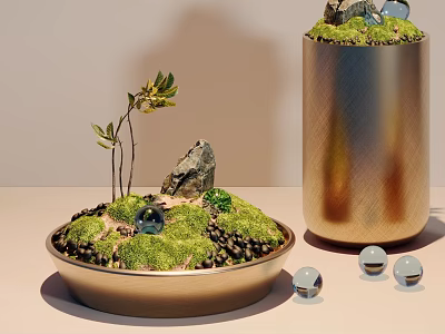 Bonsai Potted Plants with Round Cylindrical Pots Small Foliage Rocks Moss and Transparent Glass Balls 3d model