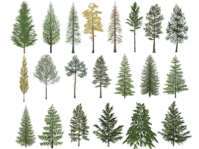 Collection of Diverse Arbor Trees with Various Foliage and Growth Shapes 3d model