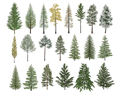 Collection of Diverse Arbor Trees with Various Foliage and Growth Shapes 3d model