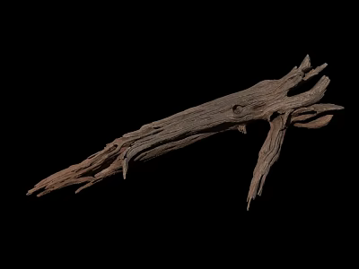 Natural Weathered Stone Like Wood Piece With Textured Surface On Dark Background 3d model