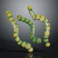 Spiral Molecular Structure Model With Green Yellow Spheres And White Connections On Dark Background