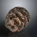 Natural Pine Cone With Detailed Brown Texture On Dark Reflective Background