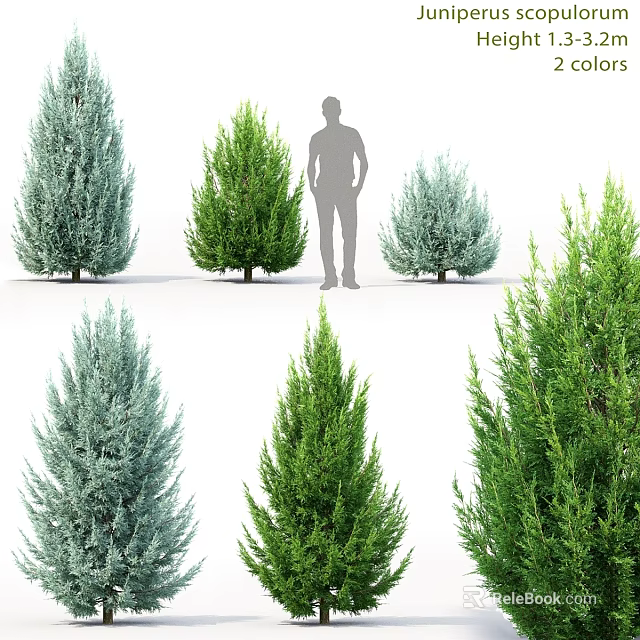 Assorted Colorful Evergreen Plant Ornaments with Size Variation for Home Decor 3d model 