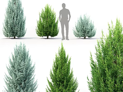 Assorted Colorful Evergreen Plant Ornaments with Size Variation for Home Decor 3d model